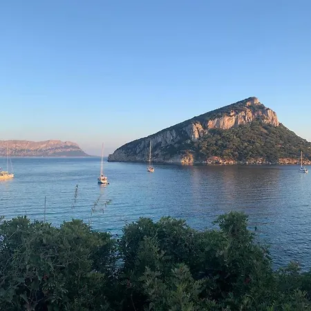Le Primule Lägenhet Golfo Aranci