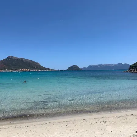 דירה Le Primule *